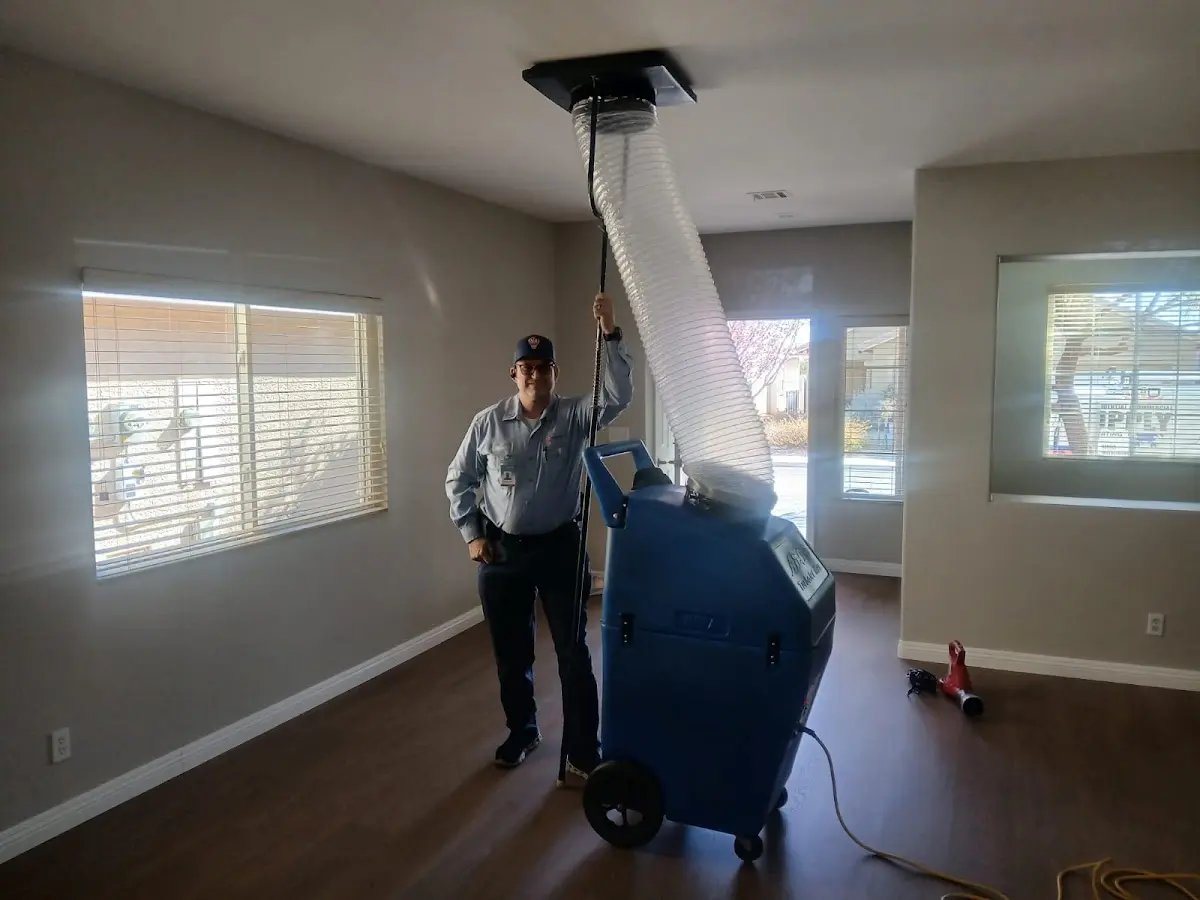 Professional Dryer Vent Cleaning work inside a Greenfield home